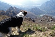 78 Nika osserva con attenzione verso Lecco e i laghi..